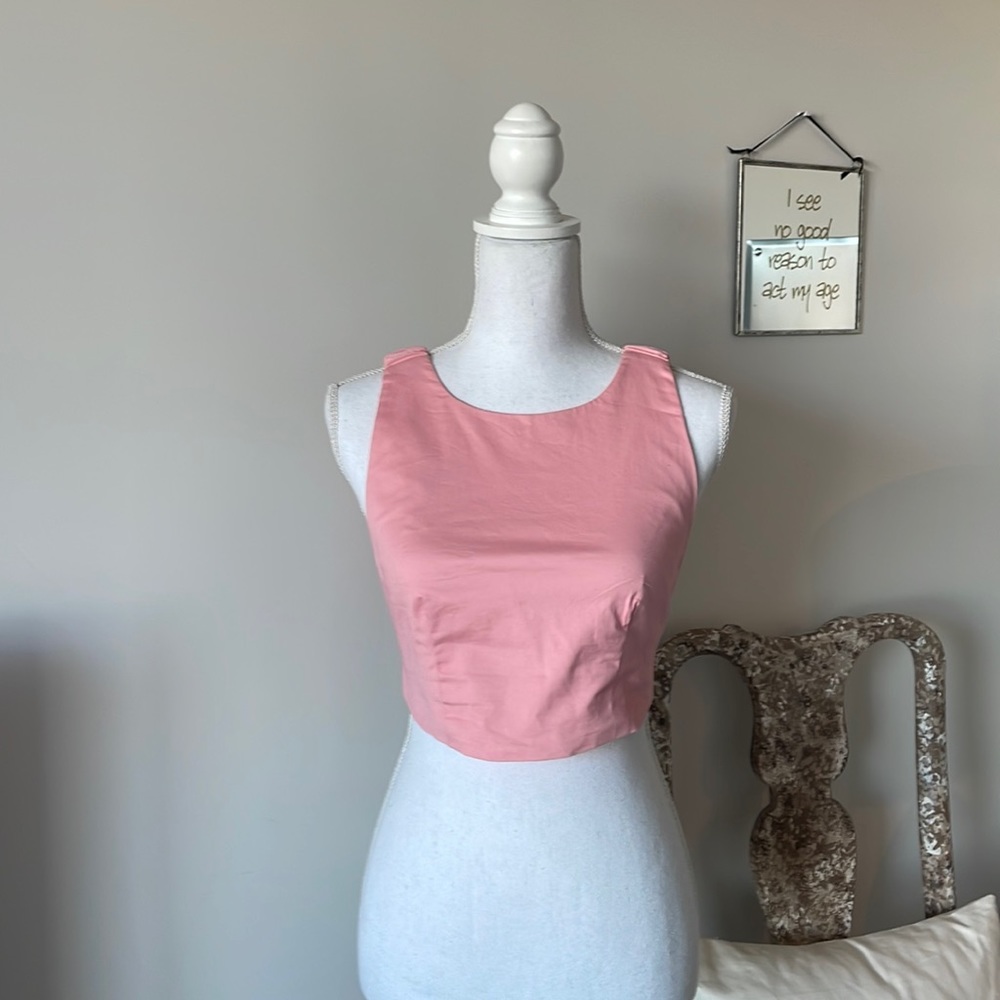 Cropped Grey Lab Backless Crop Top